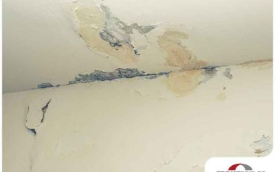 5 Risks of Ignoring a Leaking Roof