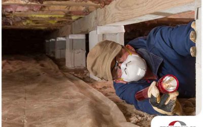 Dealing With Crawl Space Moisture Buildup