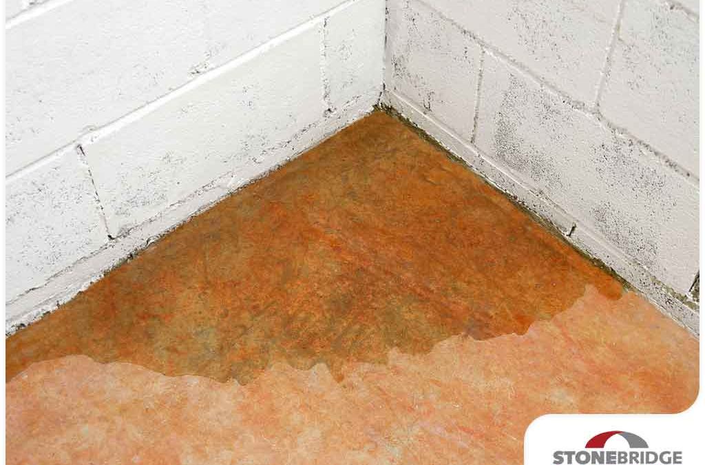 6 Signs You’re Dealing With a Waterproofing Issue
