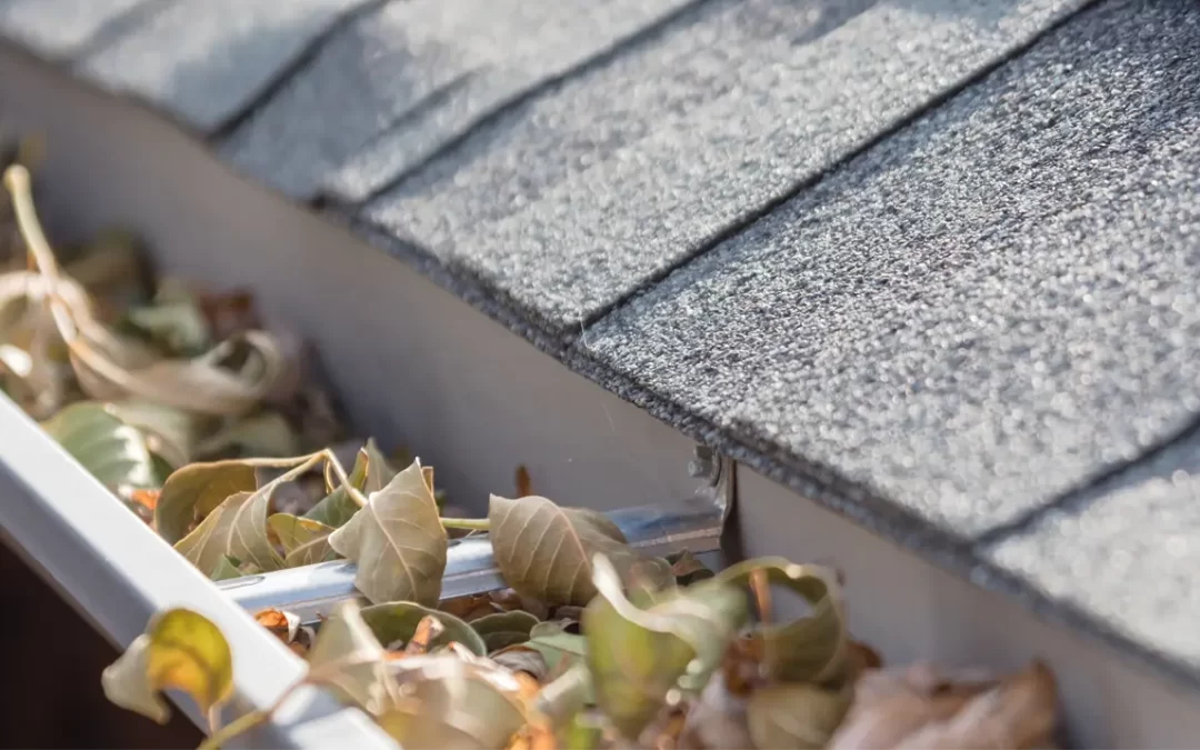 Pro Tips for Fall Home Maintenance from Your Trusted Local Roofing Company